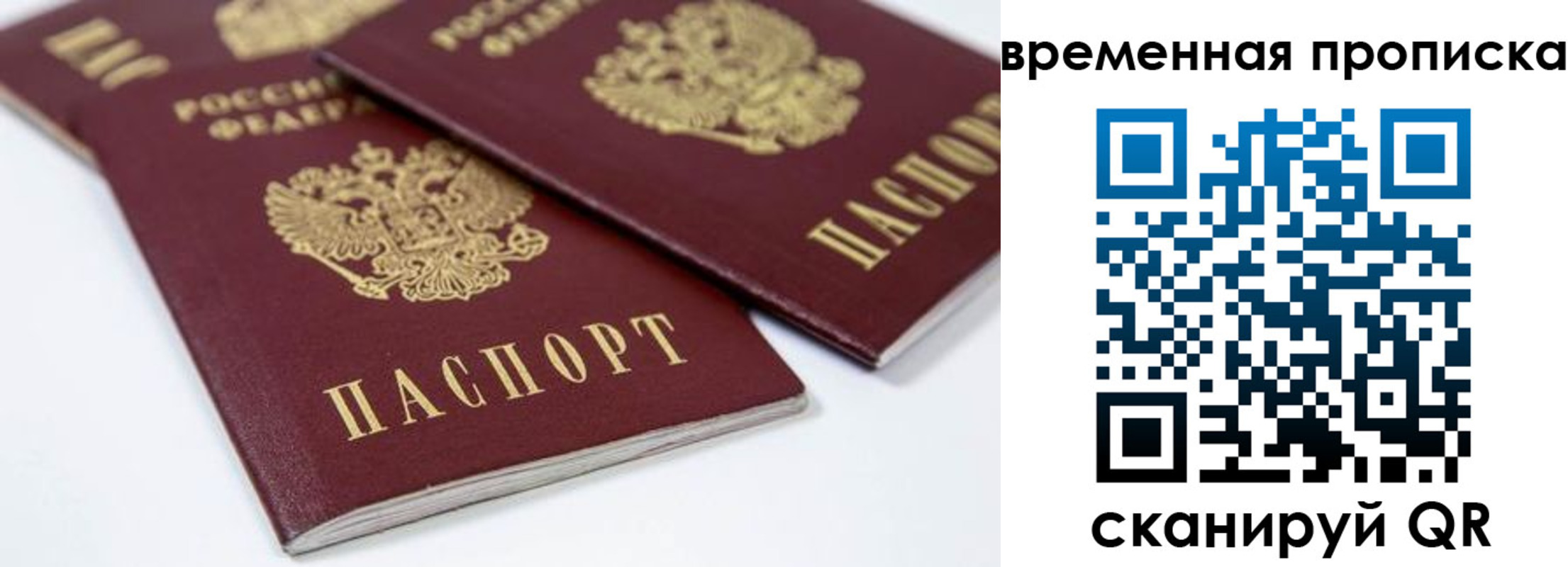 прописка для школы в Крыму